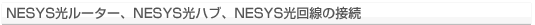 NESYS[^[ANESYSnuANESYS̐ڑ