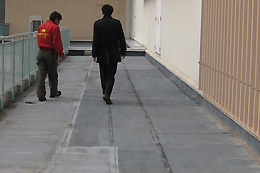 �i���Ɋւ����̌��n����