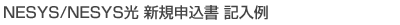NESYS光 新規申込書 記入例